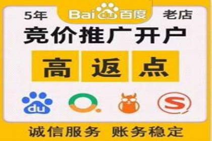 行业报告：专业SEM托管的成功实践与挑战